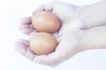 Hand Holding Eggs Isolated On White Background Isolated On White Stock Photo