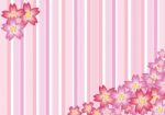 Pink Sakura Background Stock Photo