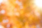 Abstract Soft Blurred Bokeh Yellow Background Stock Photo