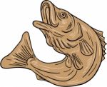 Rockfish Jumping Up Drawing Stock Photo