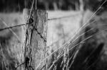 Rusted Sharp Timber And Metal Barb Wire Fence Stock Photo