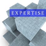 Expertise Blocks Represents Master Skills 3d Rendering Stock Photo