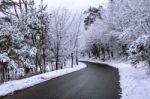 Winter Landscape Stock Photo