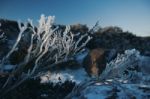 On Top Of Mount Wellington In Hobart, Tasmania During The Day Stock Photo