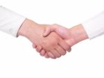 Handshaking Stock Photo