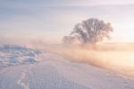 Winter Fog Over The River Stock Photo