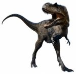 Albertosaurus Stock Photo