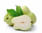 Guava  On White Background Stock Photo