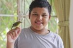 Boy And Bird Stock Photo