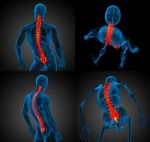 3d Rendering Medical Illustration Of The Human Spine Stock Photo