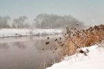 Snowfall Over The River. Winter Misty Cloudy Snowy Weather Stock Photo