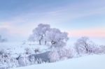 Bright Christmas Morning Stock Photo