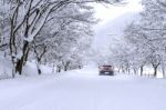 Car And Falling Snow In Winter On Forest Road With Much Snow Stock Photo