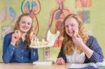 Two Female Students Exploring Jaw Model With Teeth In Biology Stock Photo