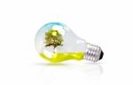 Light Bulb With Tree Inside Stock Photo