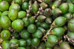 Ripe Areca-nut Stock Photo