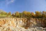 Landscape With Trees Stock Photo