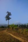 Hiking Trails In The Early Morning Stock Photo