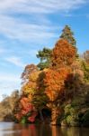 Sheffield Park Garden In Autumn Stock Photo