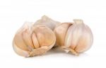 Garlic Isolated On The White Background Stock Photo