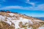 Deogyusan,korea - January 1: Tourists Taking Photos Of The Beautiful Scenery And Skiing Around Deogyusan,south Korea On January 1, 2016 Stock Photo