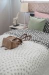 Green Pillow On Kid's Bedroom With Brown Bag Stock Photo