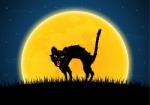 Halloween Growl Black Cat Moon Graveyard Stock Photo