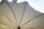 White Umbrella In The Garden Stock Photo