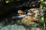 Tiny Rapids At The Val Vertova Torrent Lombardy Near Bergamo In Stock Photo