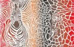 Animal Background Of Zebra And Giraffe Stock Photo