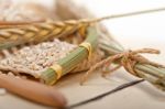 Organic Barley Grains Stock Photo