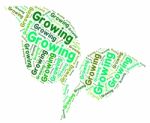 Growing Word Indicating Sow Text And Growth Stock Photo