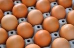 Eggs Stock Photo