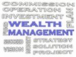 3d Image Wealth Management  Issues Concept Word Cloud Background Stock Photo