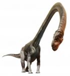 Omeisaurus Stock Photo