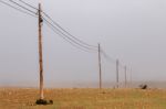 Electricity Wire On A Field Stock Photo