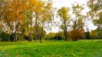 Autumn Season In Russia Moscow Stock Photo