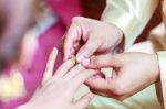 Groom Wearing Ring On Bride's Finger Stock Photo