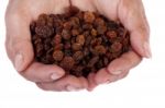 Hands With Raisins Stock Photo