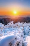 Sunrise On Deogyusan Mountains Covered With Snow In Winter,south Korea Stock Photo