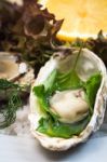 Oyster Stock Photo