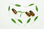 Sage Essential Oil With Sage Leaves On White  Blackground Stock Photo