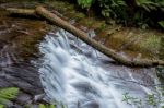 Liffey Falls In The Midlands Region, Tasmania Stock Photo