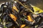 Mussels Stock Photo