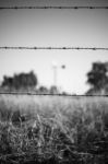 Rusted Sharp Timber And Metal Barb Wire Fence Stock Photo