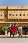 Jaipur, India - December 29, 2014: Decorated Elephant Carries To Stock Photo