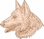 German Shepherd Dog Head Mono Line Stock Photo