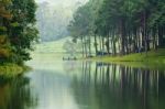 Morning Atmosphere Campsite On A Lake In The Pine Forest Stock Photo