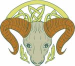 Ram Head Celtic Knot Stock Photo