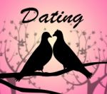 Dating Doves Means Internet Net And Partner Stock Photo